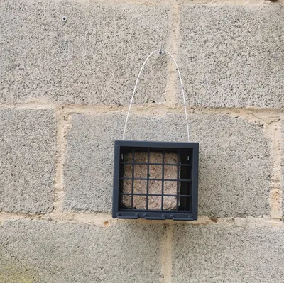 Hộp đựng bánh hạt cho chim (Birdcake) – Oiseaux / Birds