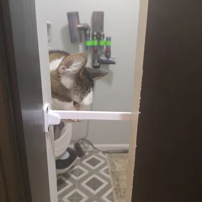 Chốt cửa lùa âm tường cho mèo (Pocket Door Cat Latch)