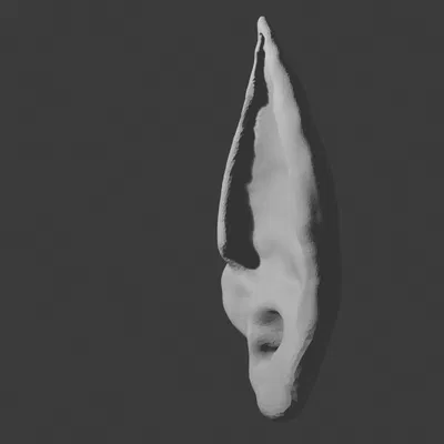 Tai Tiên (Phổ Thông)