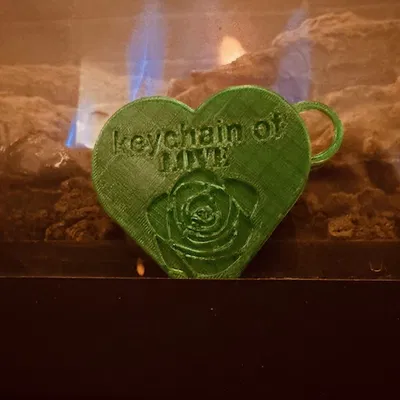 Móc khóa trái tim (heart keychain)