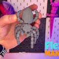 Flexi Spider - Nhện flexi khớp nối dạng thật (articulated, print-in-place) - Thumbnail 2
