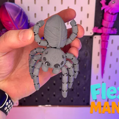 Flexi Spider - Nhện flexi khớp nối dạng thật (articulated, print-in-place)