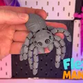 Flexi Spider - Nhện flexi khớp nối dạng thật (articulated, print-in-place) - Thumbnail 4