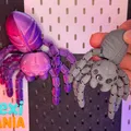 Flexi Spider - Nhện flexi khớp nối dạng thật (articulated, print-in-place) - Thumbnail 5