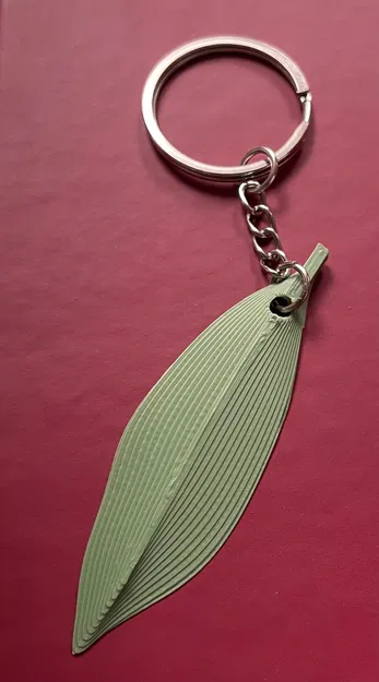 Móc khóa lá nguyệt quế (bay leaf) - Image 1