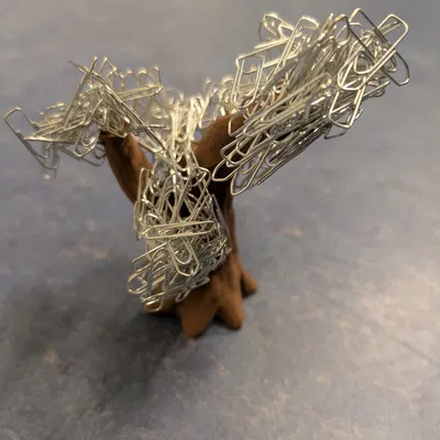 Cây kẹp giấy (Paperclip tree)
