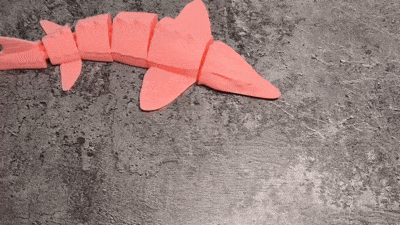 Cá tầm Flexi (Flexi sturgeon fish) - Image 1