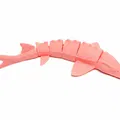 Cá tầm Flexi (Flexi sturgeon fish) - Thumbnail 2