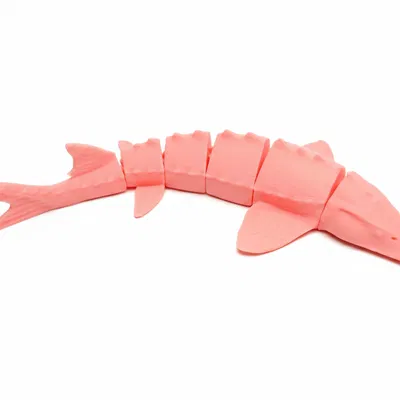 Cá tầm Flexi (Flexi sturgeon fish)