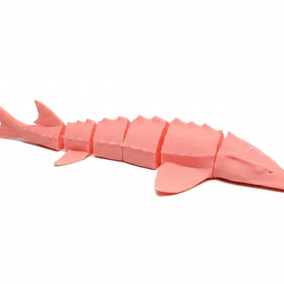 Cá tầm Flexi (Flexi sturgeon fish)