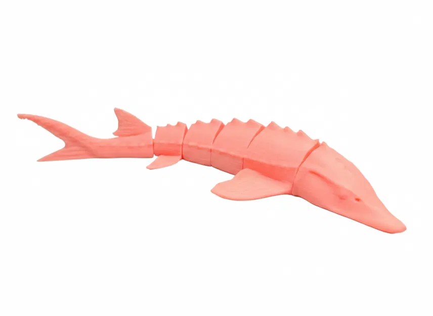 Cá tầm Flexi (Flexi sturgeon fish) - Image 4