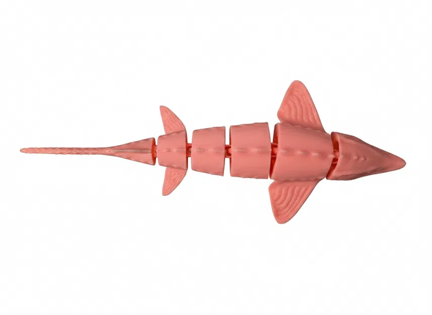 Cá tầm Flexi (Flexi sturgeon fish) - Image 5