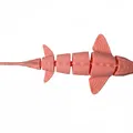 Cá tầm Flexi (Flexi sturgeon fish) - Thumbnail 5
