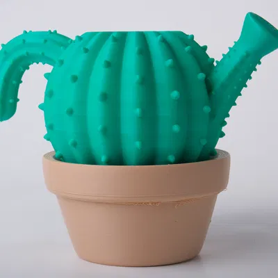 Bình Tưới Cây Hình Xương Rồng (Cactus Watering Can)