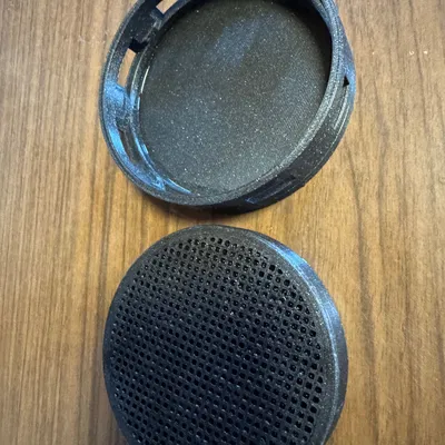 Hạt nảy mầm (sprouting seeds)