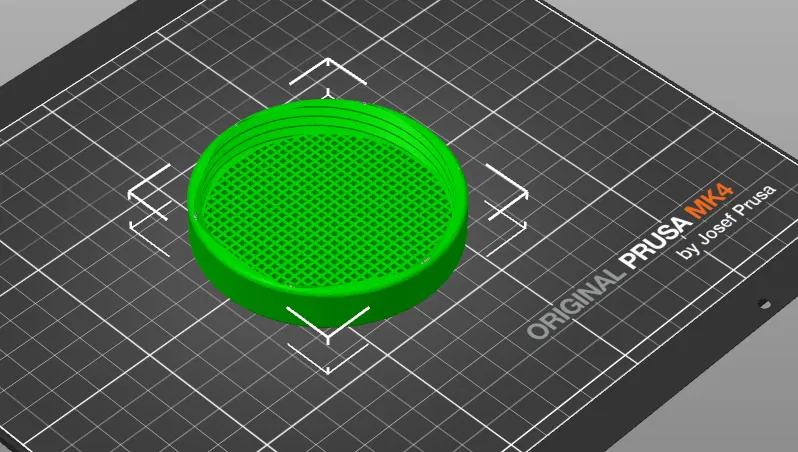 Hạt nảy mầm (sprouting seeds) - Image 2