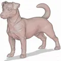 Mô hình 3D Jack Russel Terrier - Thumbnail 2