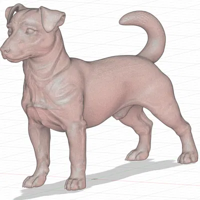 Mô hình 3D Jack Russel Terrier