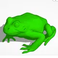 frogg - Thumbnail 1