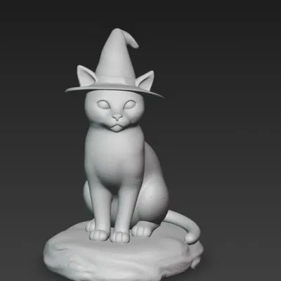 Mèo Phù Thủy (Witch cat)