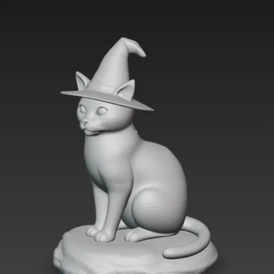 Mèo Phù Thủy (Witch cat)