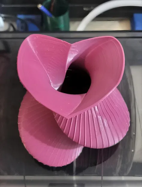 Bình hoa trái tim xoắn (Heart twisted vase) - Image 1