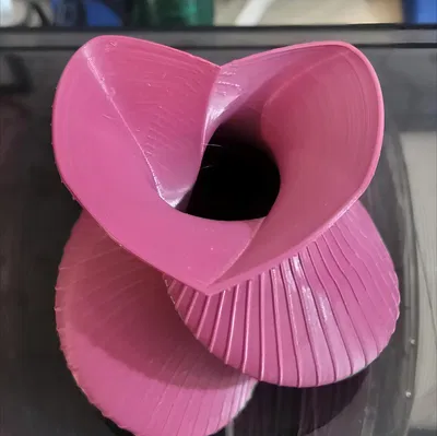 Bình hoa trái tim xoắn (Heart twisted vase)