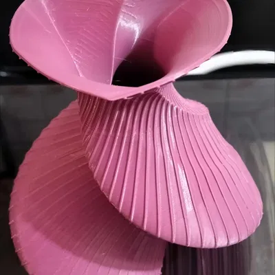 Bình hoa trái tim xoắn (Heart twisted vase)