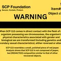 SCP-113 – Vật thể đổi giới (Gender Switcher) - Thumbnail 2