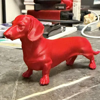Mô hình Dachshund