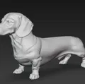 Mô hình Dachshund - Thumbnail 2