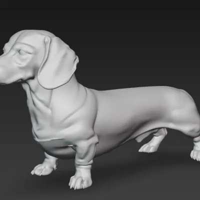 Mô hình Dachshund