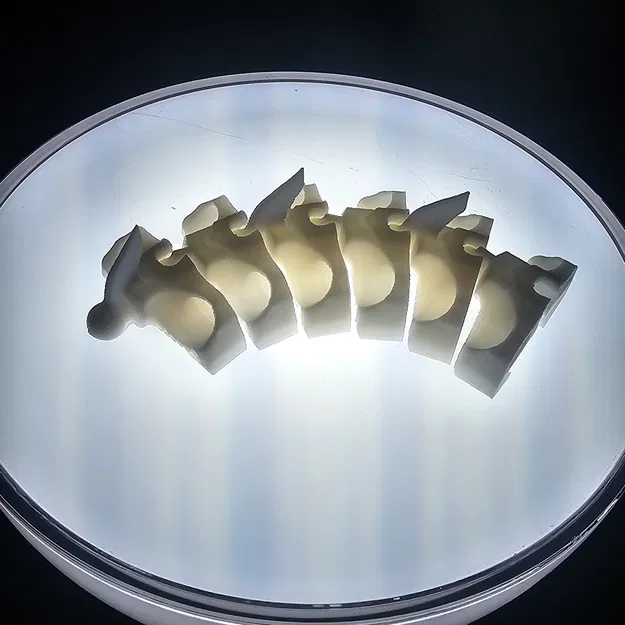 Spine Cable Chain Spinal Remix - Image 2