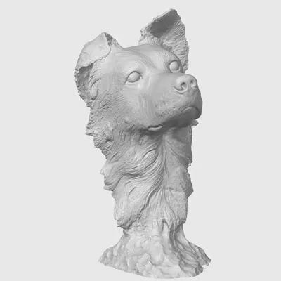 Tượng bán thân chó Border collie