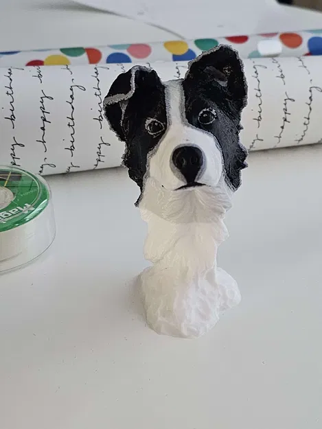 Border Collie (In đa màu) - Image 1