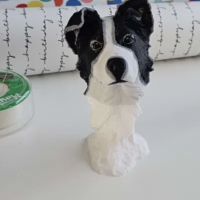 Border Collie (In đa màu)