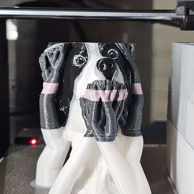 Border Collie (In đa màu)