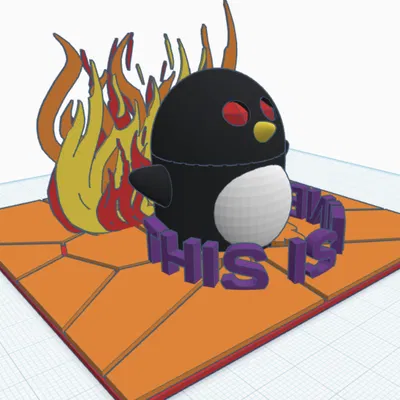 CALM FIRE PENGUIN – Chim cánh cụt mắt to