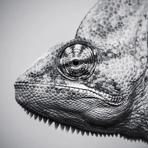 Mini desk organizer (kệ sắp xếp bàn làm việc mini) - Image 1