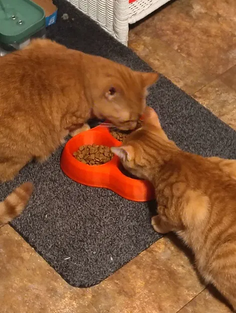 Khay ăn mèo 3 ngăn (3 bowl cat food dish) - Image 2