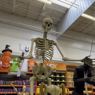 Khớp nối cổ lên đầu cho bộ xương khổng lồ Home Depot