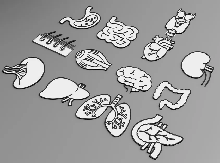 Tranh treo tường nghệ thuật các cơ quan nội tạng người - Image 1