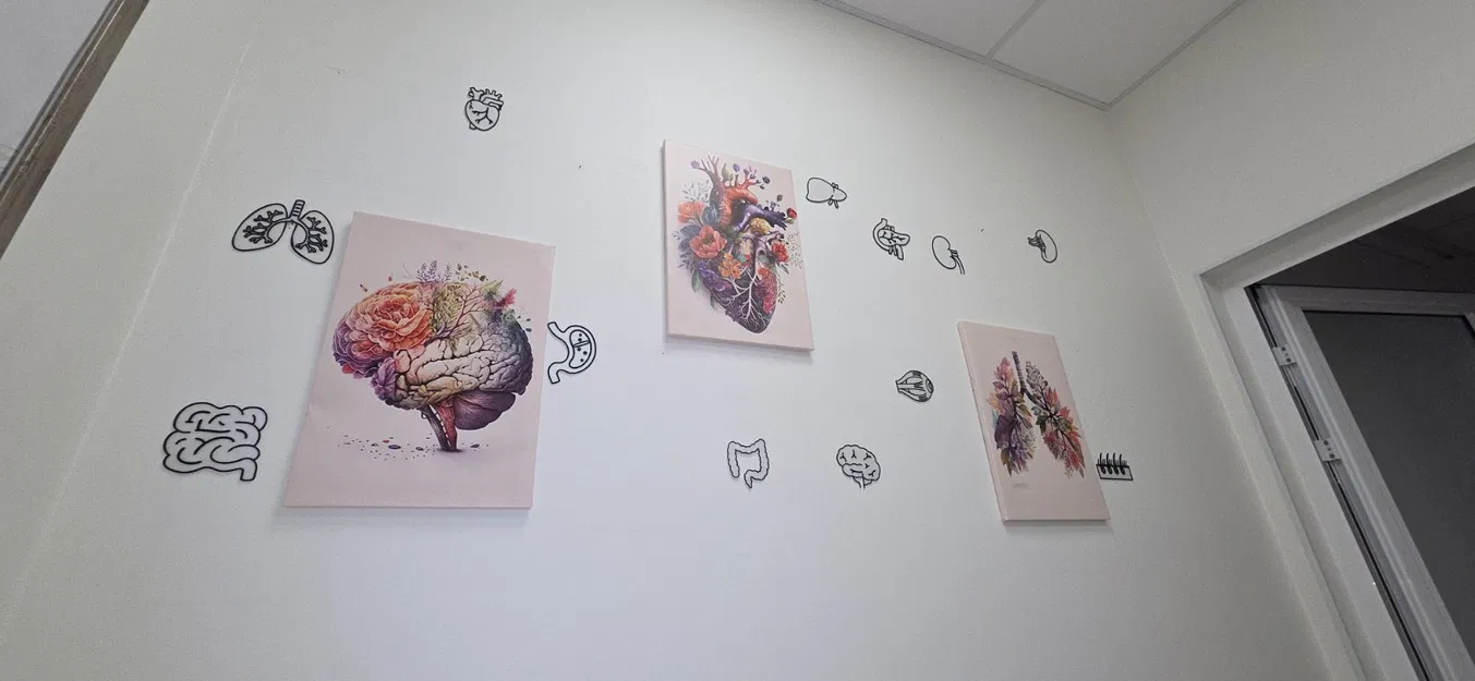 Tranh treo tường nghệ thuật các cơ quan nội tạng người - Image 2