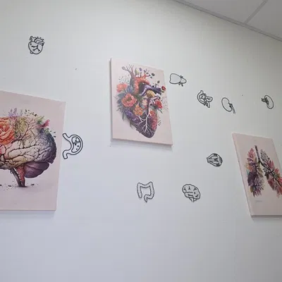 Tranh treo tường nghệ thuật các cơ quan nội tạng người