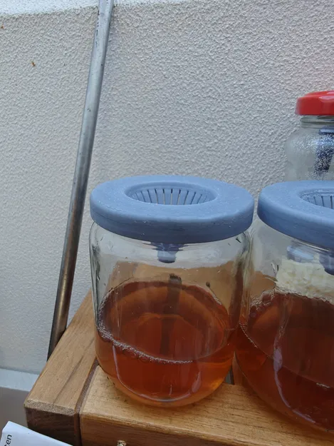 Bẫy ruồi giấm cho hũ Hipp (Fruit fly trap / Fruchtfliegenfalle) - Image 1