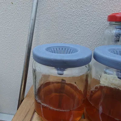 Bẫy ruồi giấm cho hũ Hipp (Fruit fly trap / Fruchtfliegenfalle)