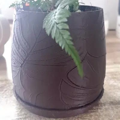 Chậu trồng cây (кашпо)