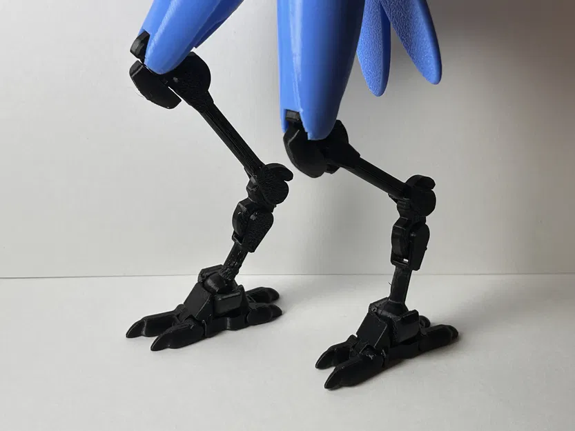 Dummy 13 – Chân Chim & Bàn Chân Móng Vuốt - Image 1