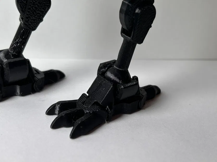 Dummy 13 – Chân Chim & Bàn Chân Móng Vuốt - Image 3