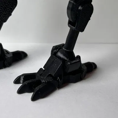 Dummy 13 – Chân Chim & Bàn Chân Móng Vuốt